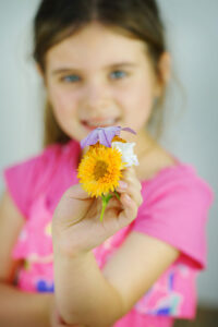 An Introduction to Edible Flowers Image